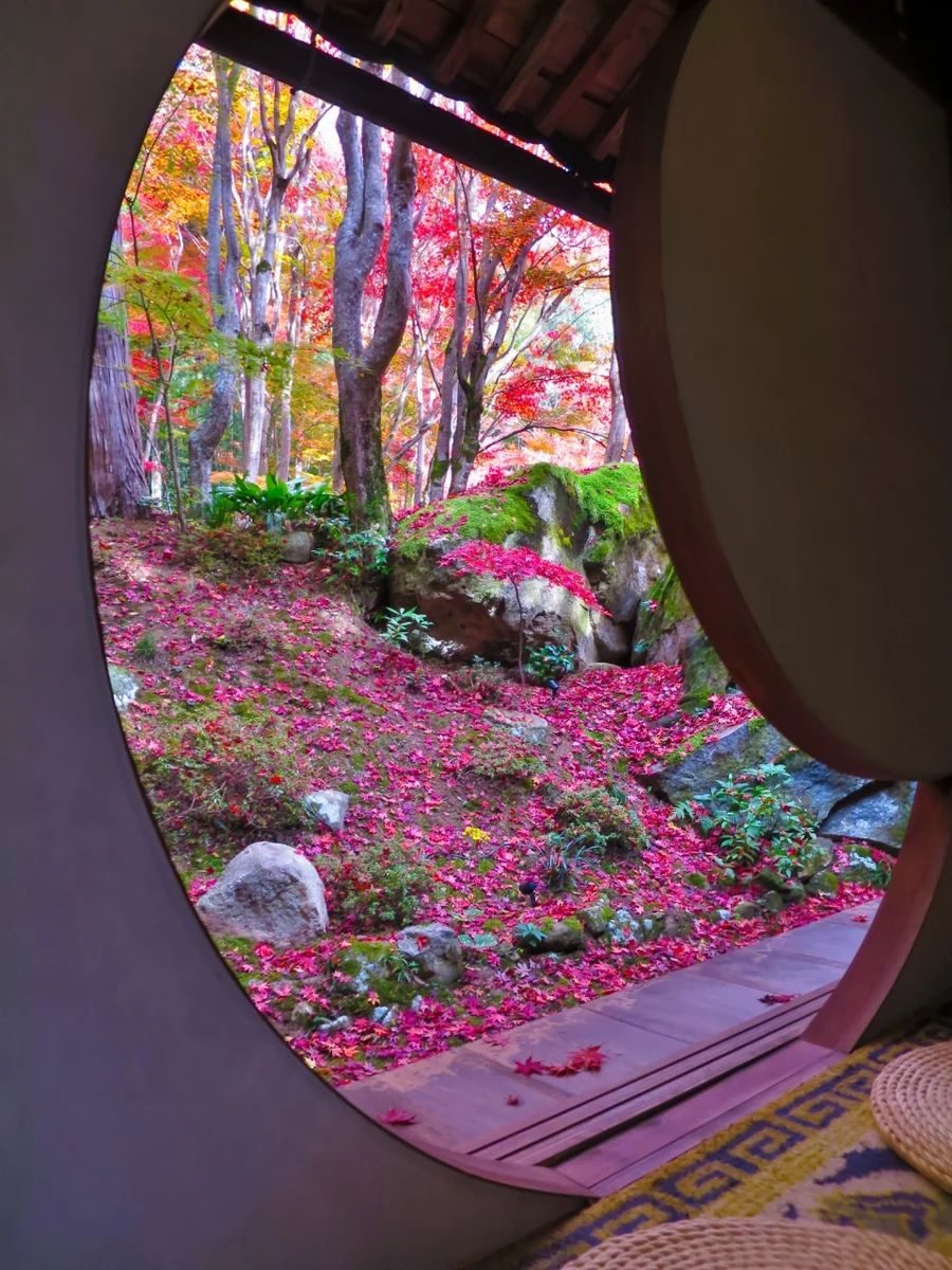 投稿写真：教林坊の紅葉