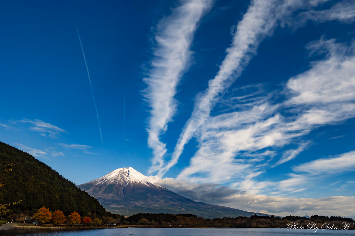 投稿写真：風に流されて