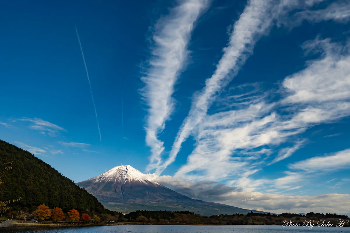 投稿写真：風に流されて