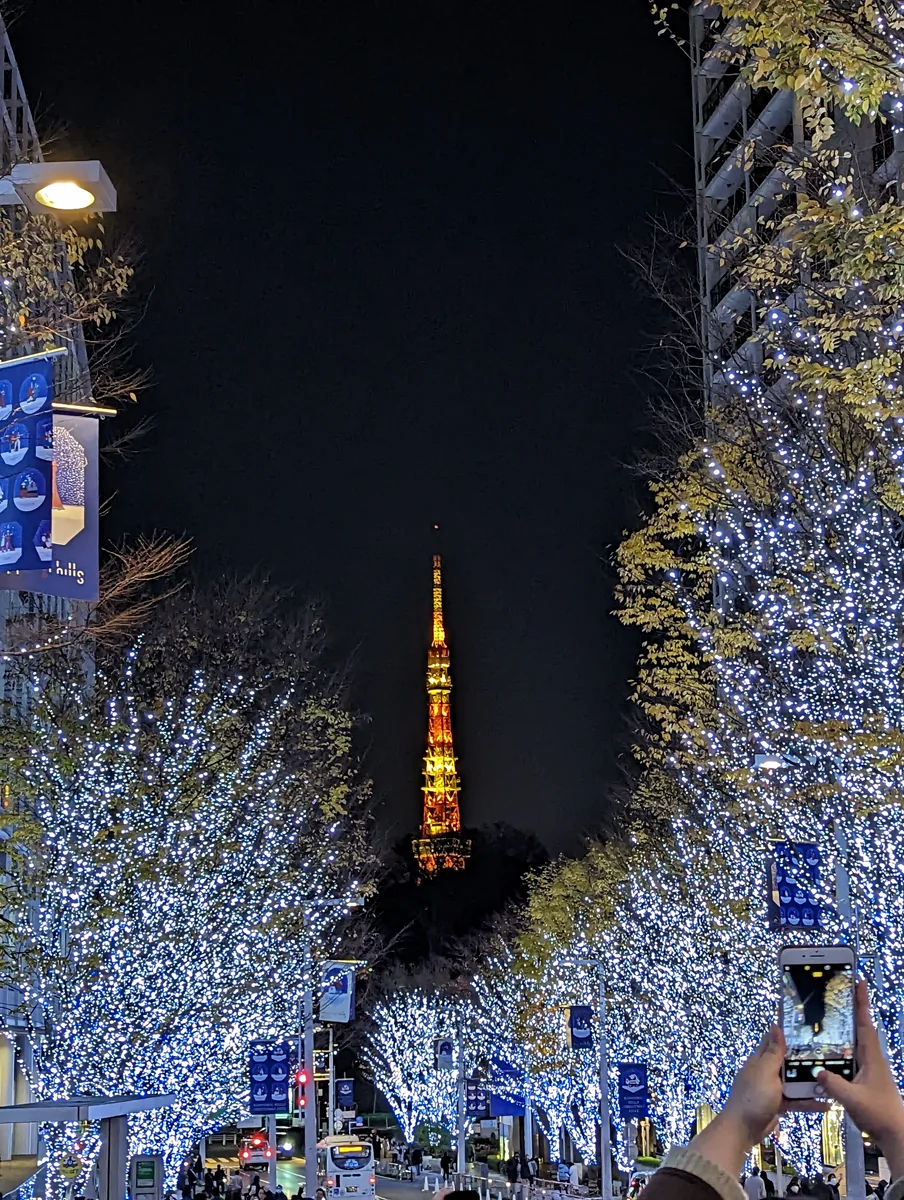 投稿写真：六本木イルミネーション