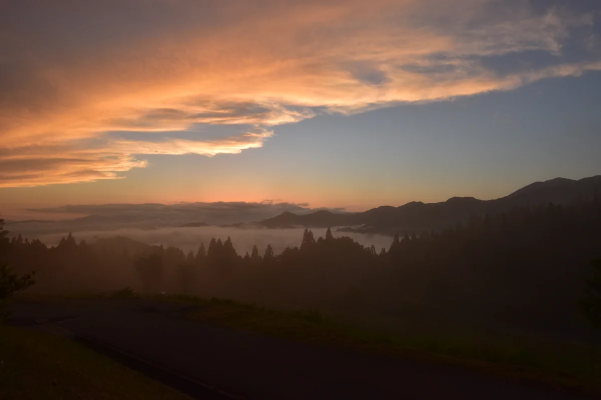 投稿写真：雨上がり