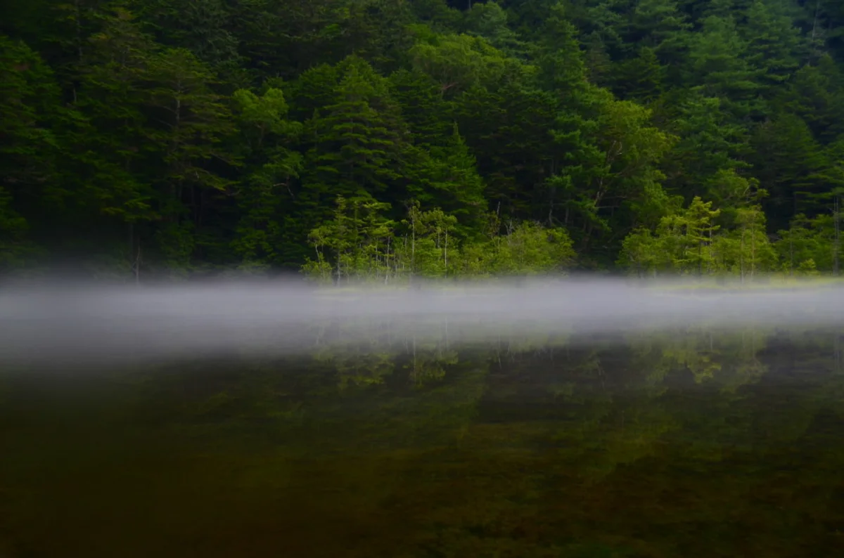 投稿写真：朝霧の明神池