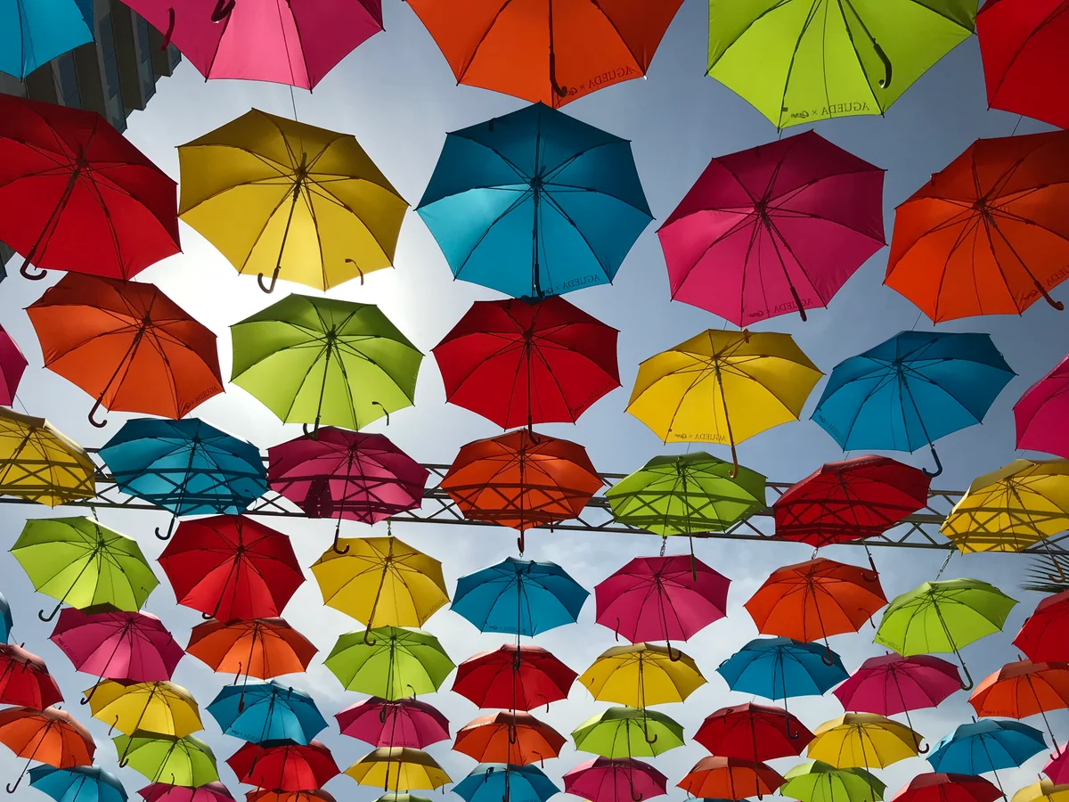 投稿写真：カープロードイベント