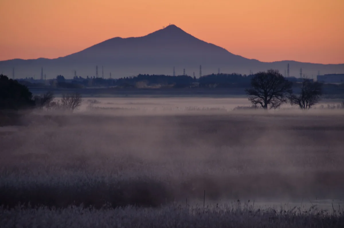 投稿写真：渡良瀬遊水地　朝焼け