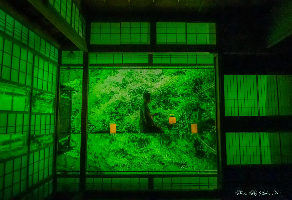 投稿写真：新緑のライトアップ