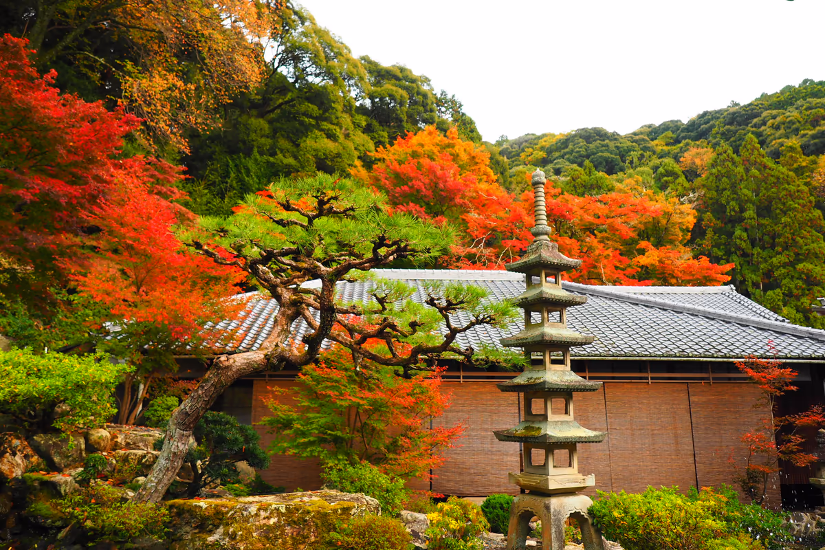 投稿写真：興聖寺紅葉