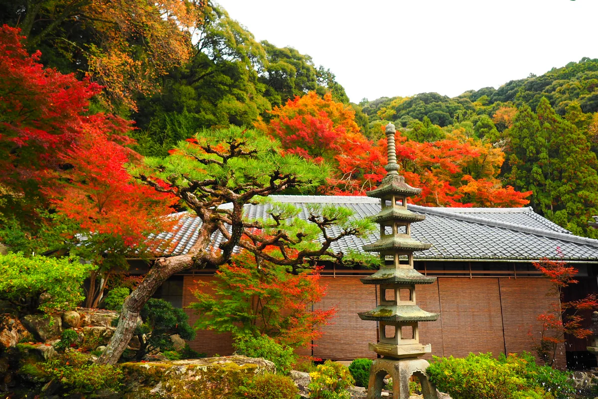 投稿写真：興聖寺紅葉