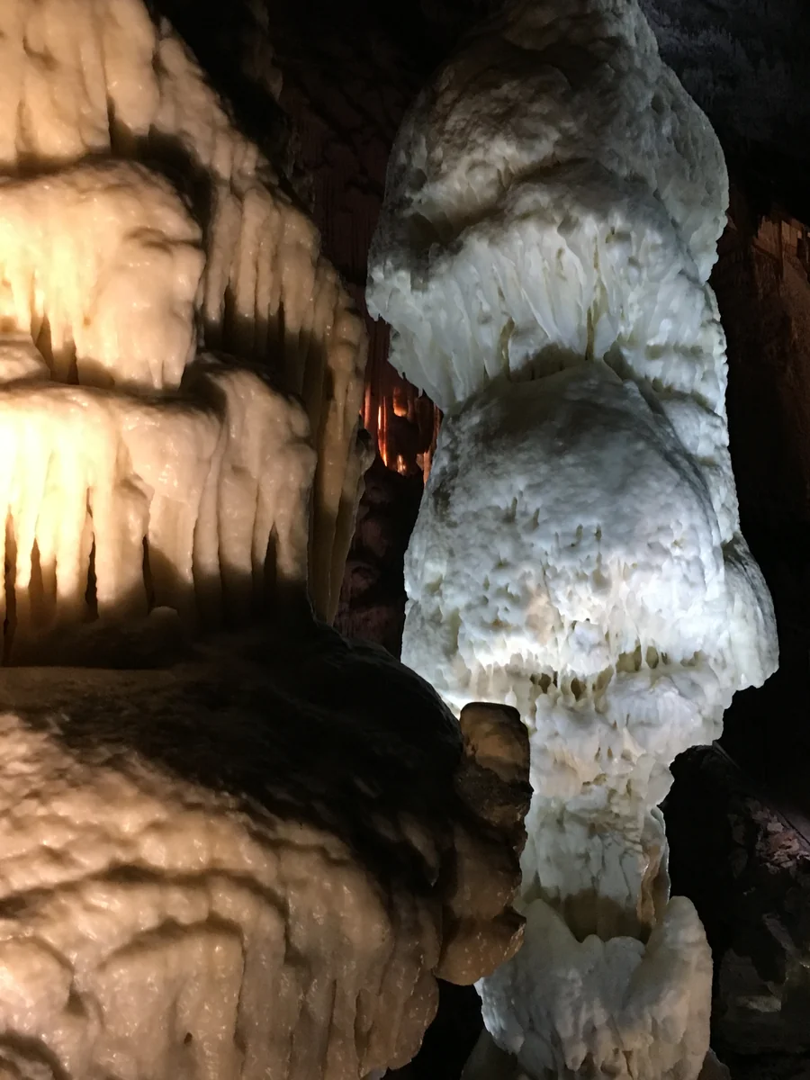 投稿写真：スロベニアポストイナ鍾乳洞