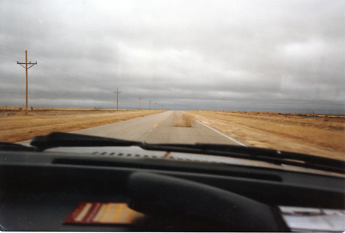 投稿写真：タンブルウィード