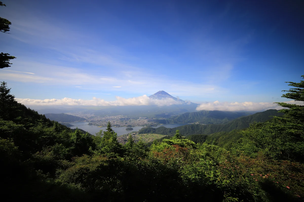 投稿写真：夏の富士
