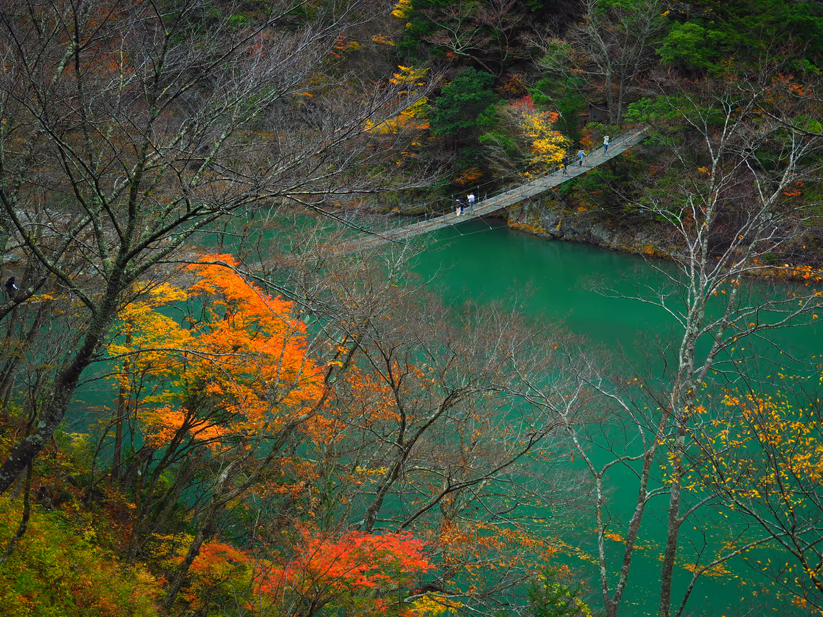 投稿写真：秋　夢の吊り橋