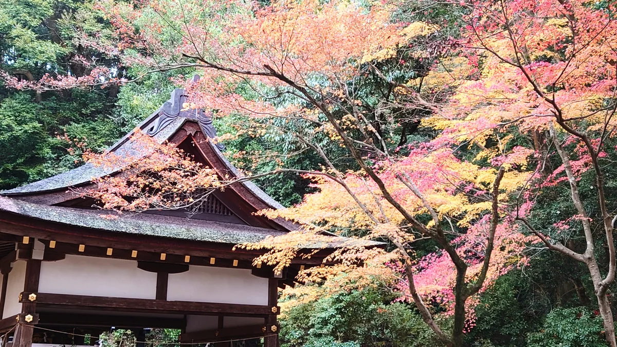 投稿写真：上賀茂神社