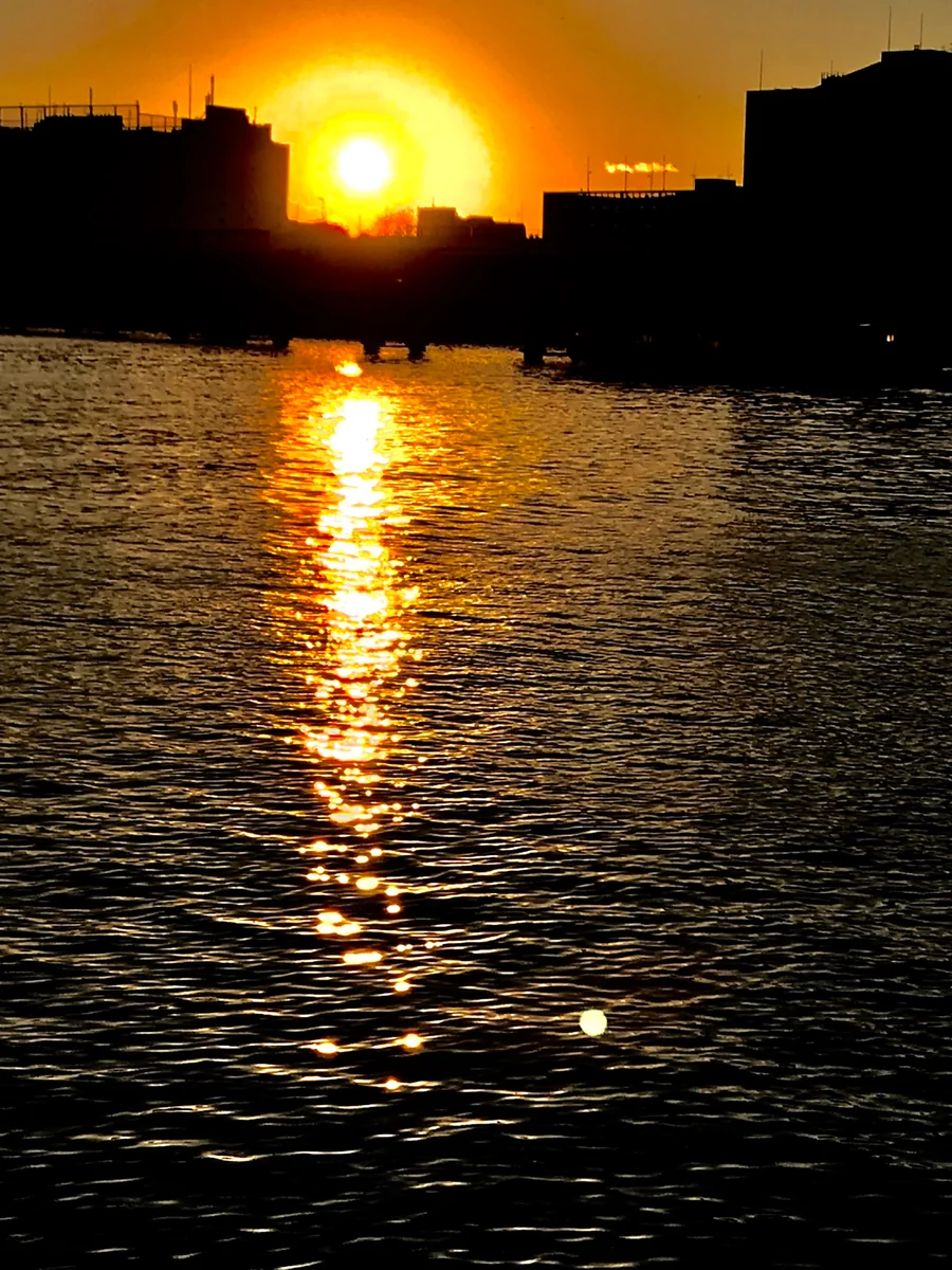 投稿写真：「平穏無事な一日に、ありがとう」