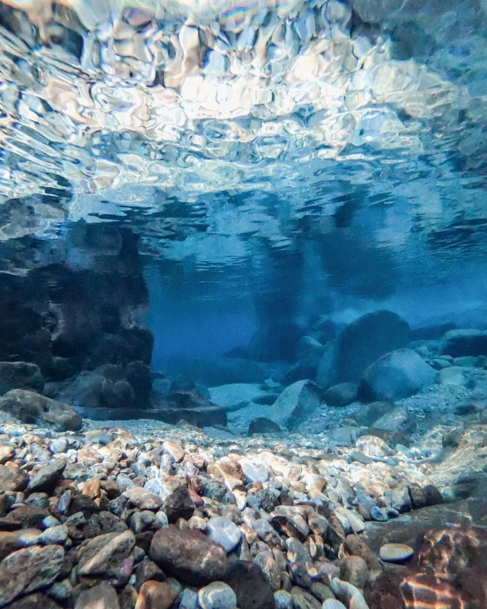 投稿写真：森の天然水