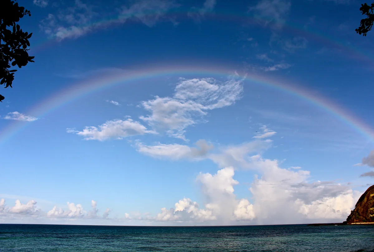 投稿写真：Happiness W Rainbow