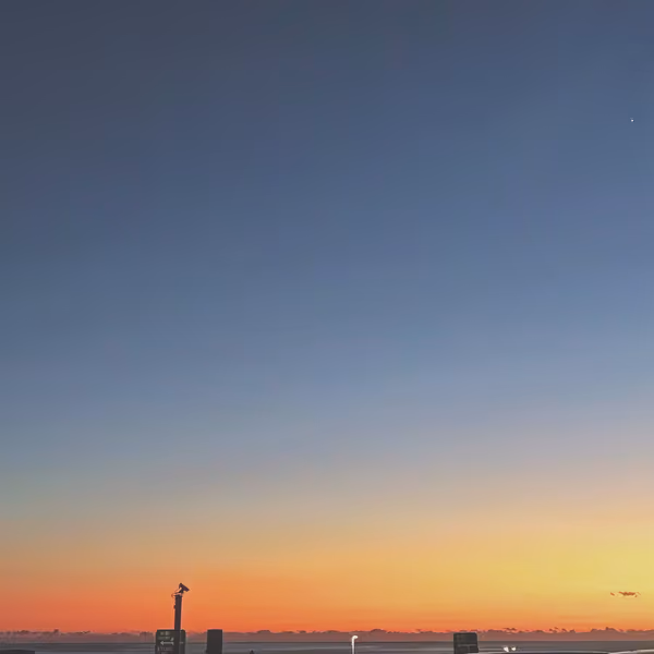 投稿：空