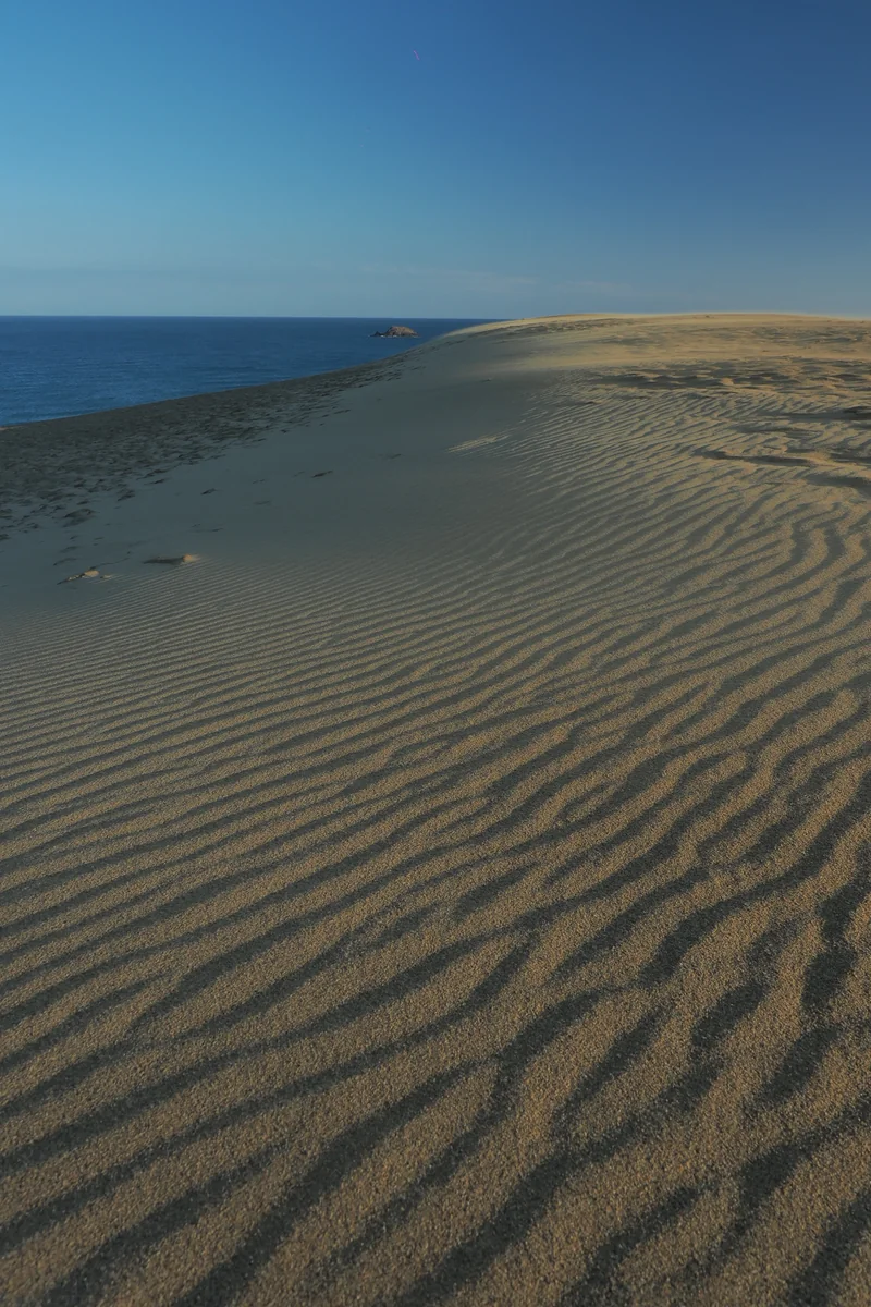 投稿写真：鳥取砂丘　風紋