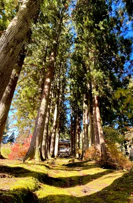 投稿：大棟山美術博物館