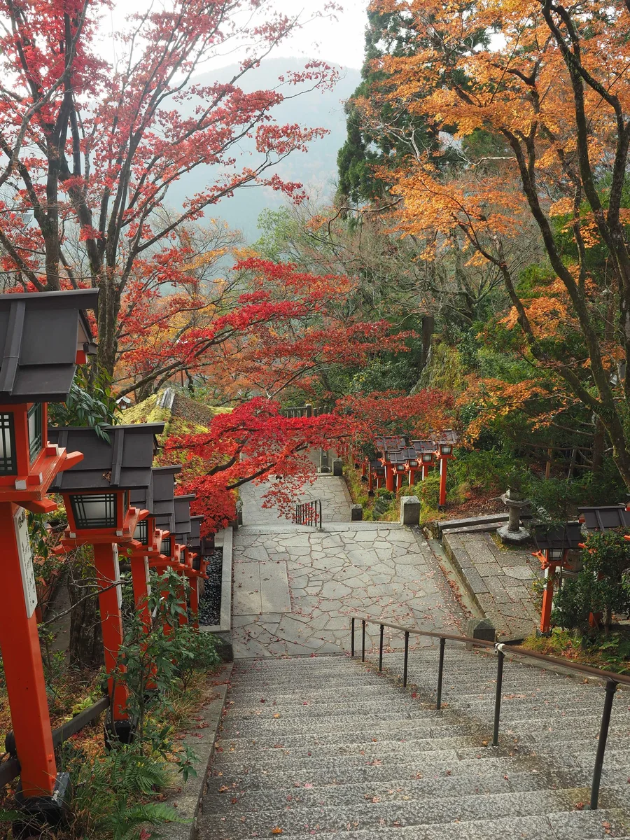 投稿写真：鞍馬寺　紅葉