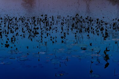  | 絶景事典