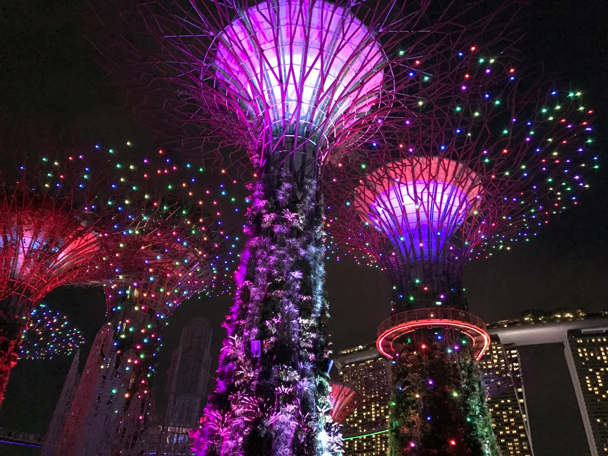 投稿写真：きらめく光と音楽のショー