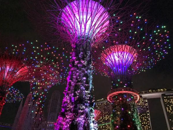 投稿：きらめく光と音楽のショー