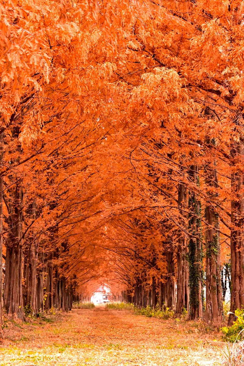 Hiromi Sakataさんの投稿写真