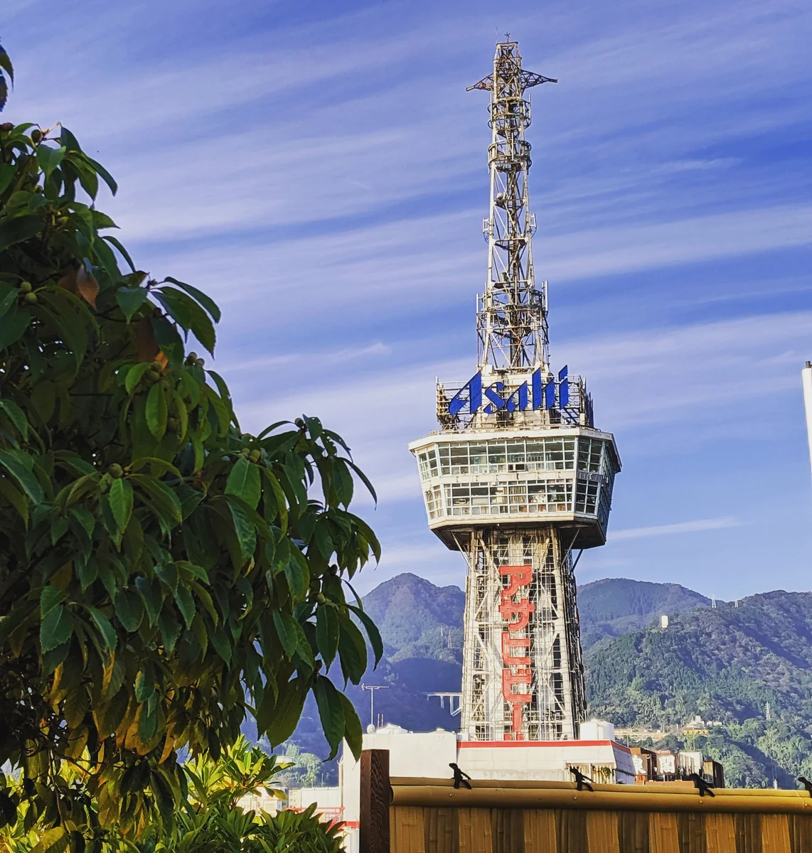 投稿写真：別府タワー