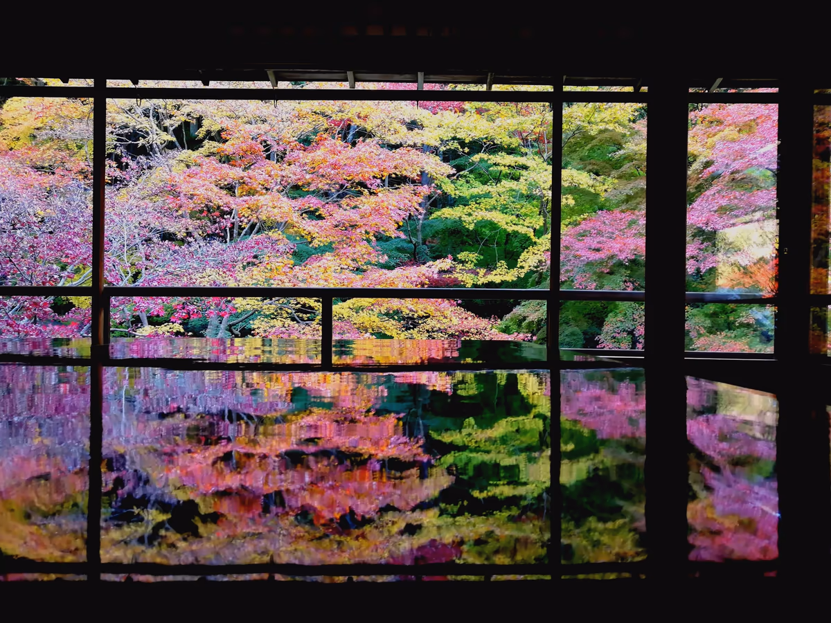 投稿写真：瑠璃光院の紅葉