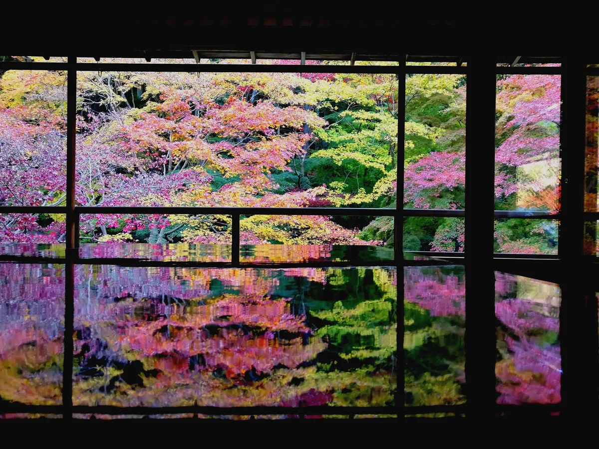 投稿写真：瑠璃光院の紅葉