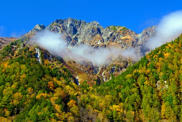 投稿：秋、徳澤からの「手紙」