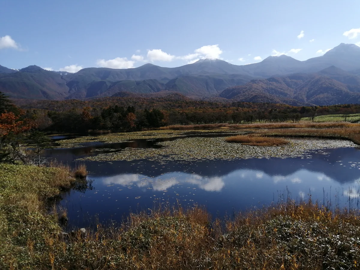 投稿写真：知床一湖を高架木道から撮影