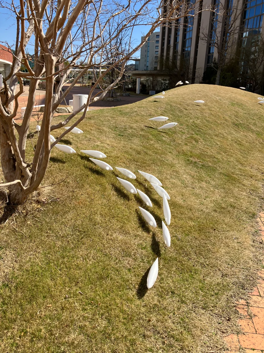 投稿写真：魚群