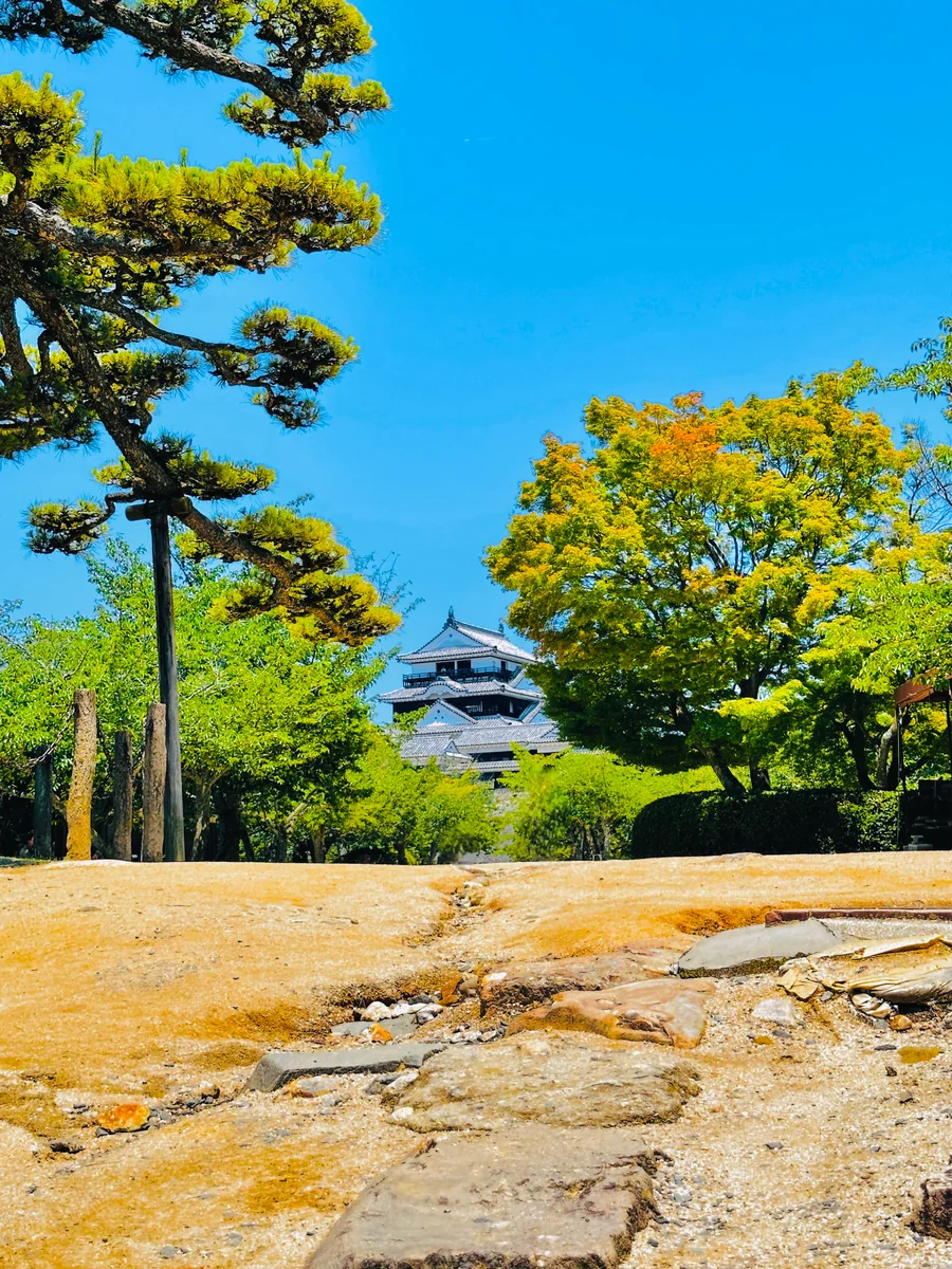 投稿写真：未熟者