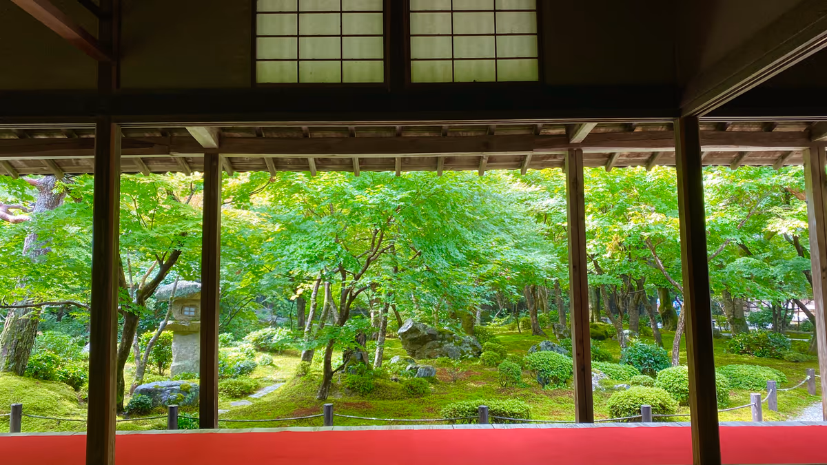 投稿写真：夏の京都 苔と青紅葉が美しい 十牛之庭