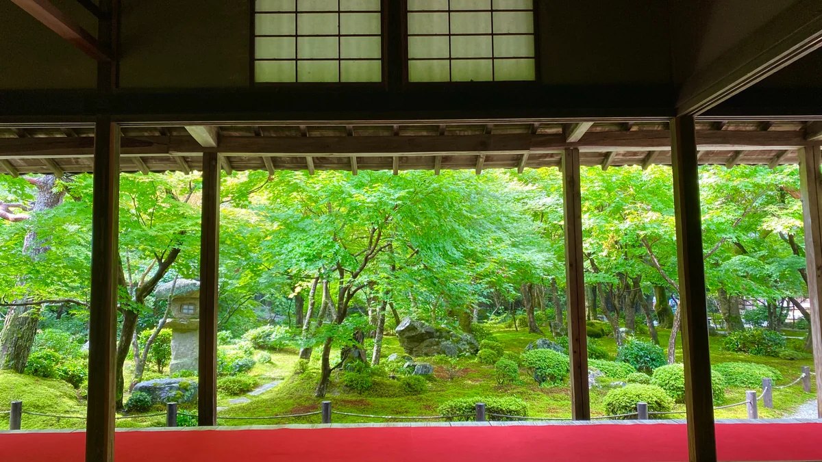 投稿写真：夏の京都 苔と青紅葉が美しい 十牛之庭