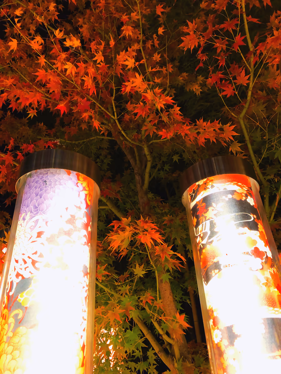 投稿写真：嵐山の紅葉