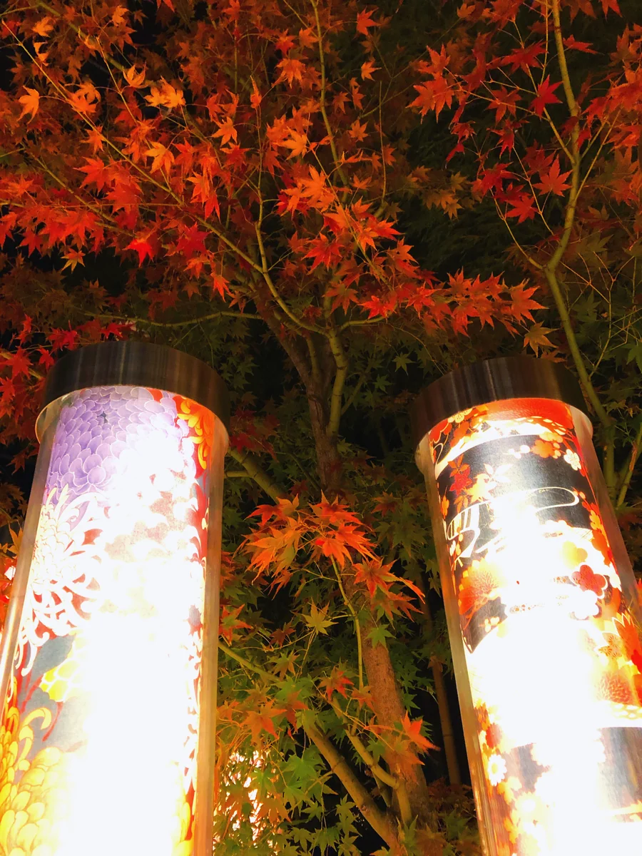 投稿写真：嵐山の紅葉