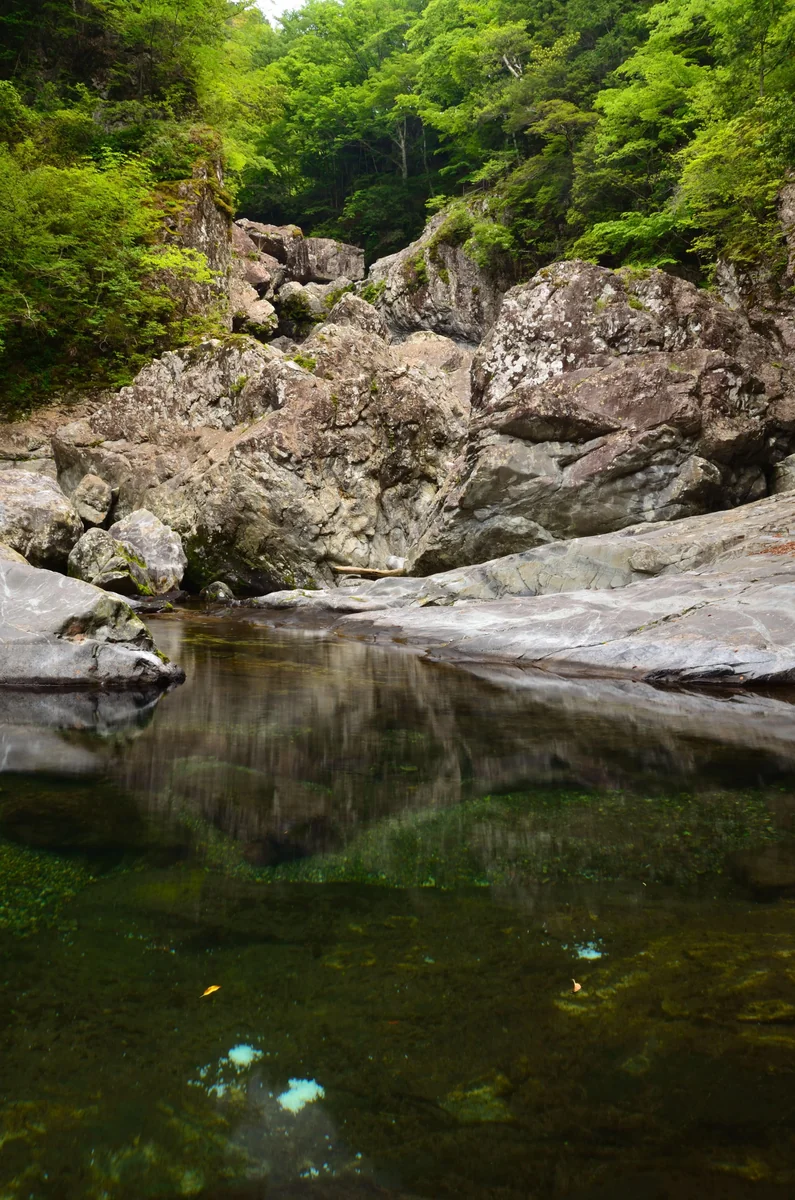投稿写真：みたらい渓谷　水辺