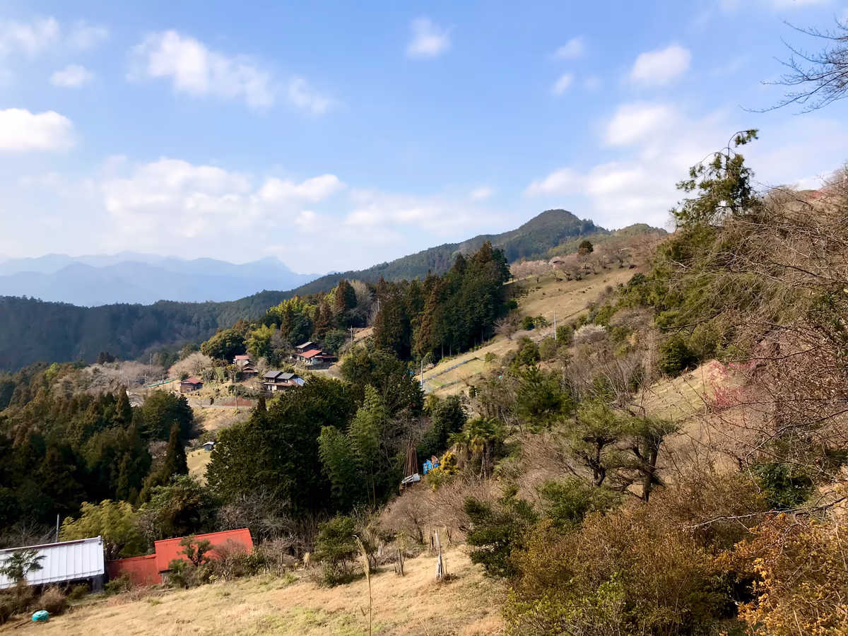 投稿写真：顔振峠の近くからの風景