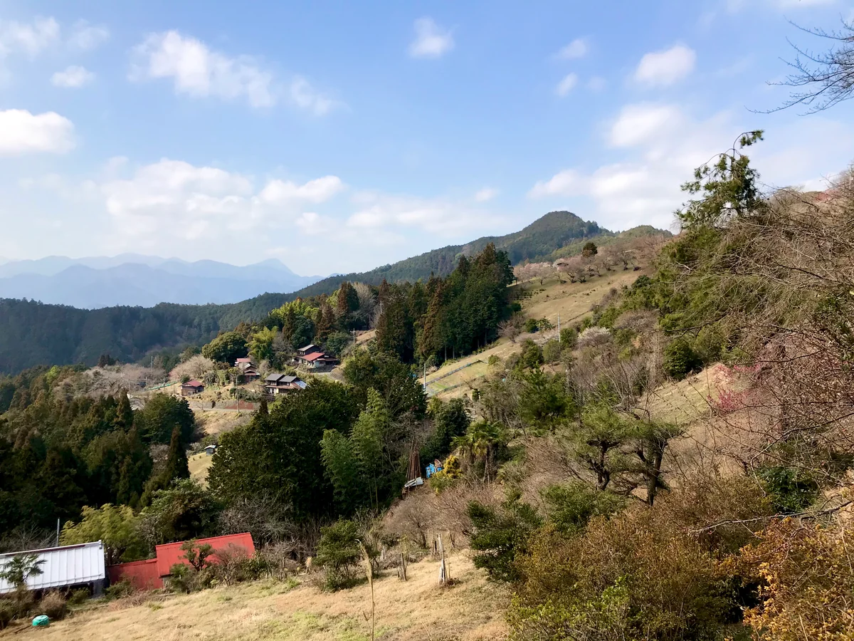 投稿写真：顔振峠の近くからの風景