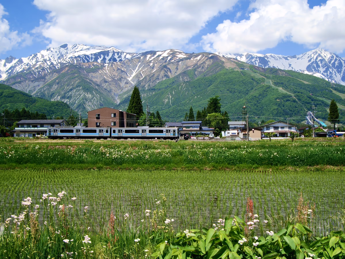 投稿写真：入梅前の白馬村