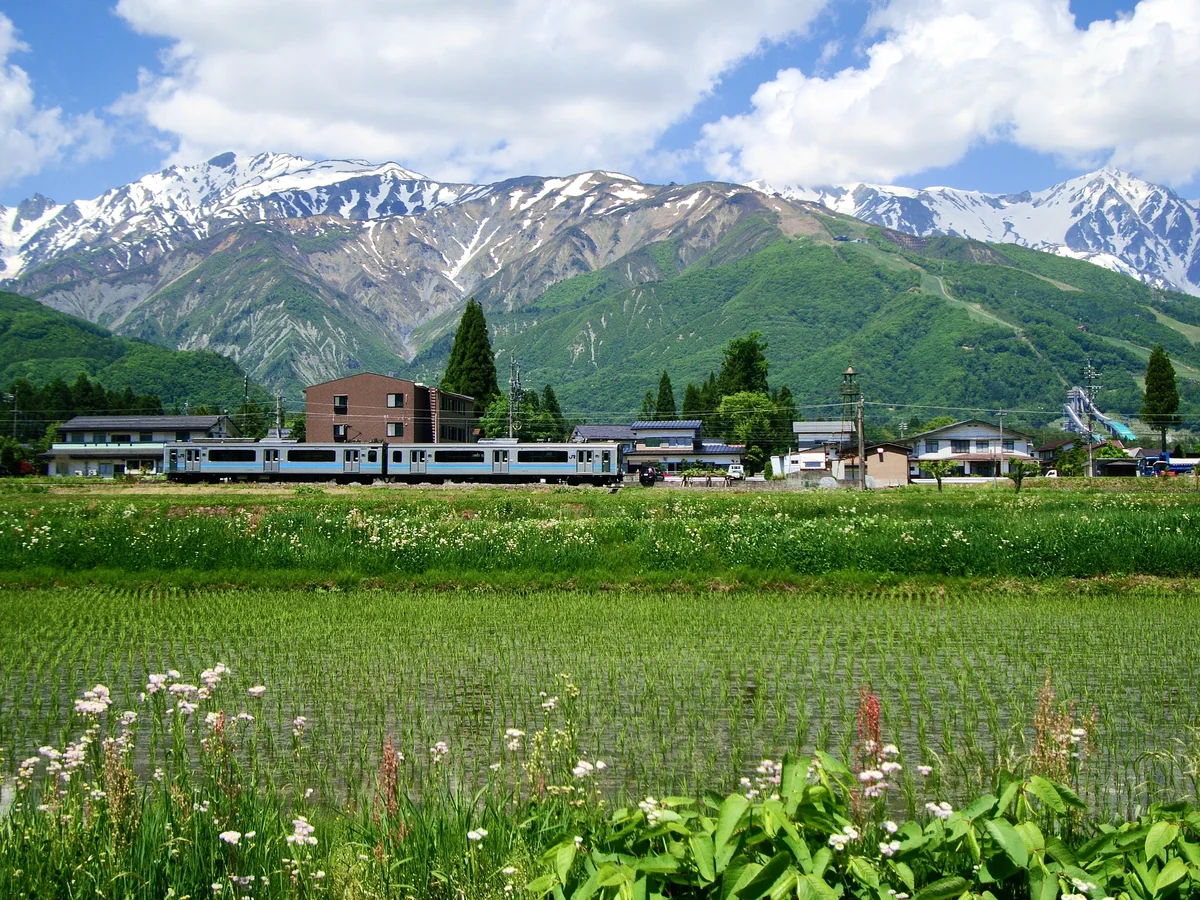 投稿写真：入梅前の白馬村