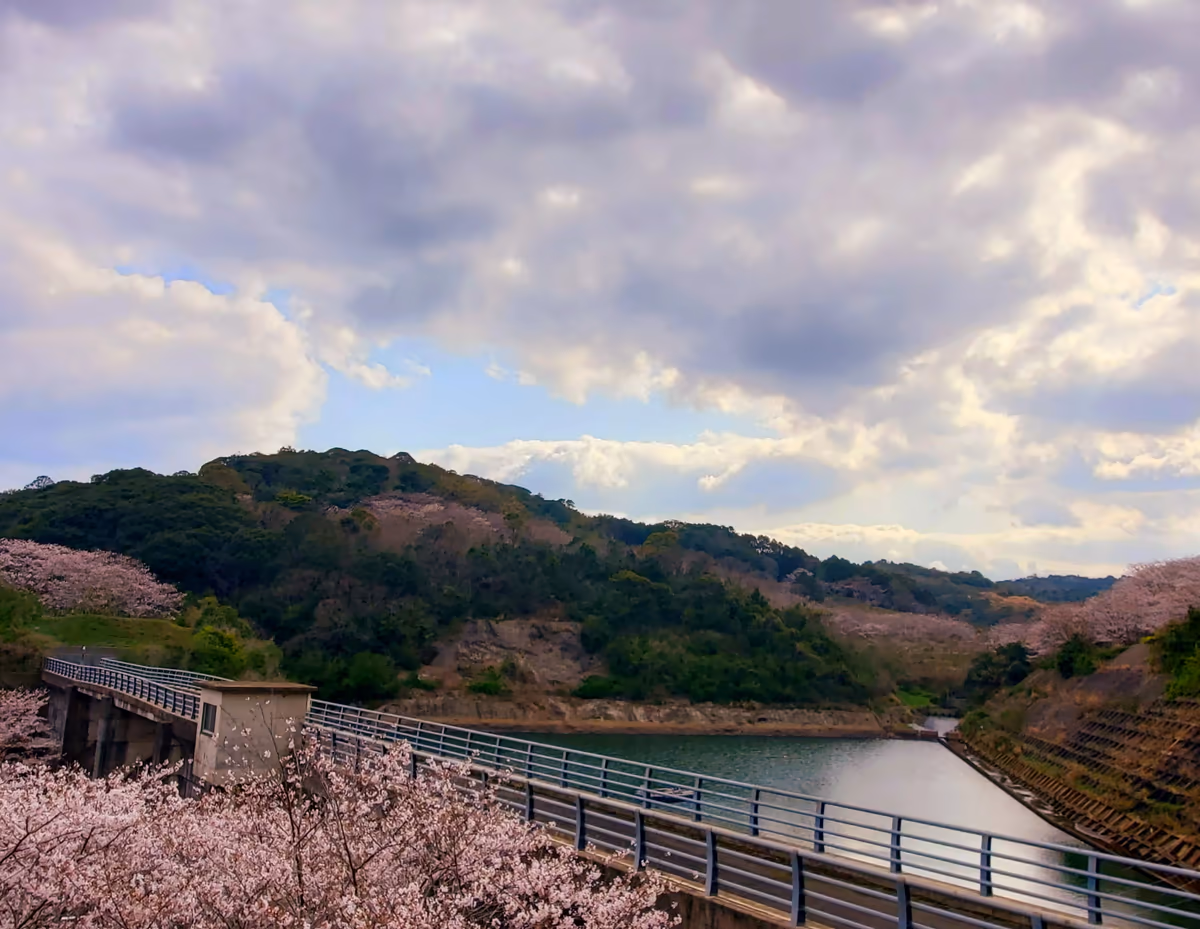 投稿写真：さくらの里