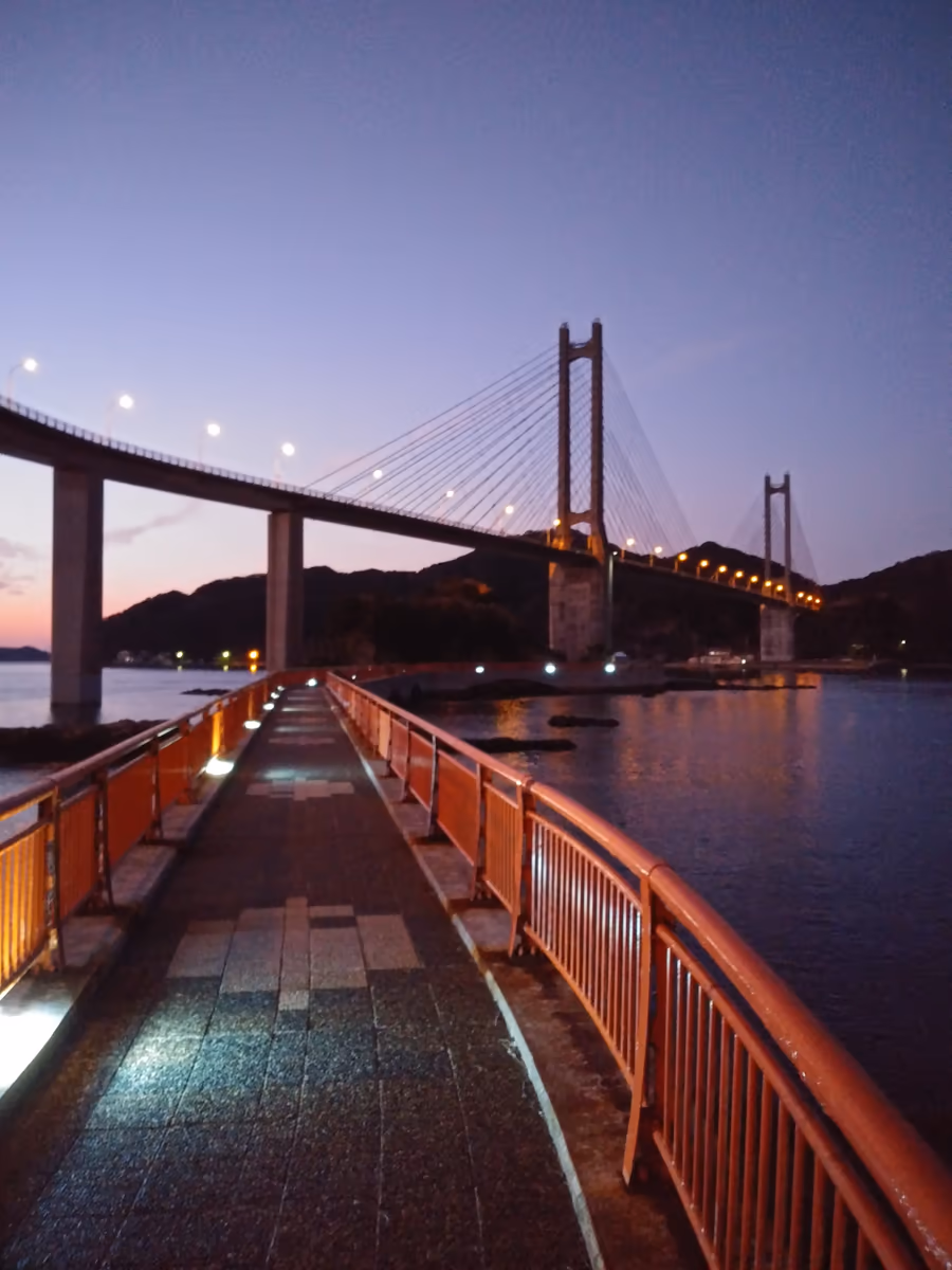 投稿写真：弁天島遊歩道夜景