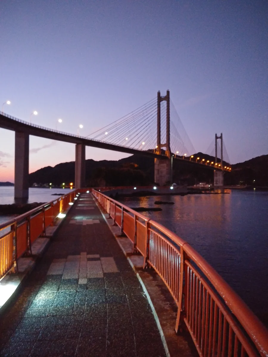 投稿写真：弁天島遊歩道夜景