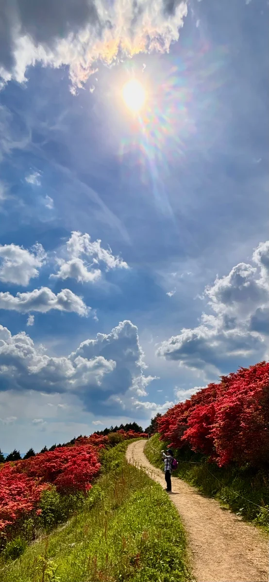 投稿写真：葛城山