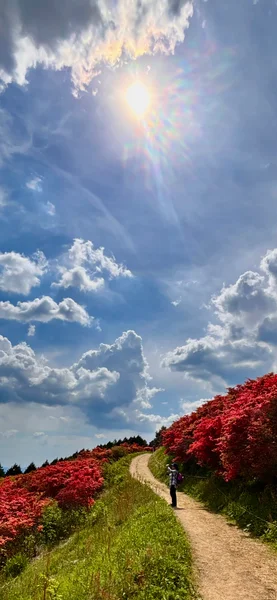 投稿：葛城山