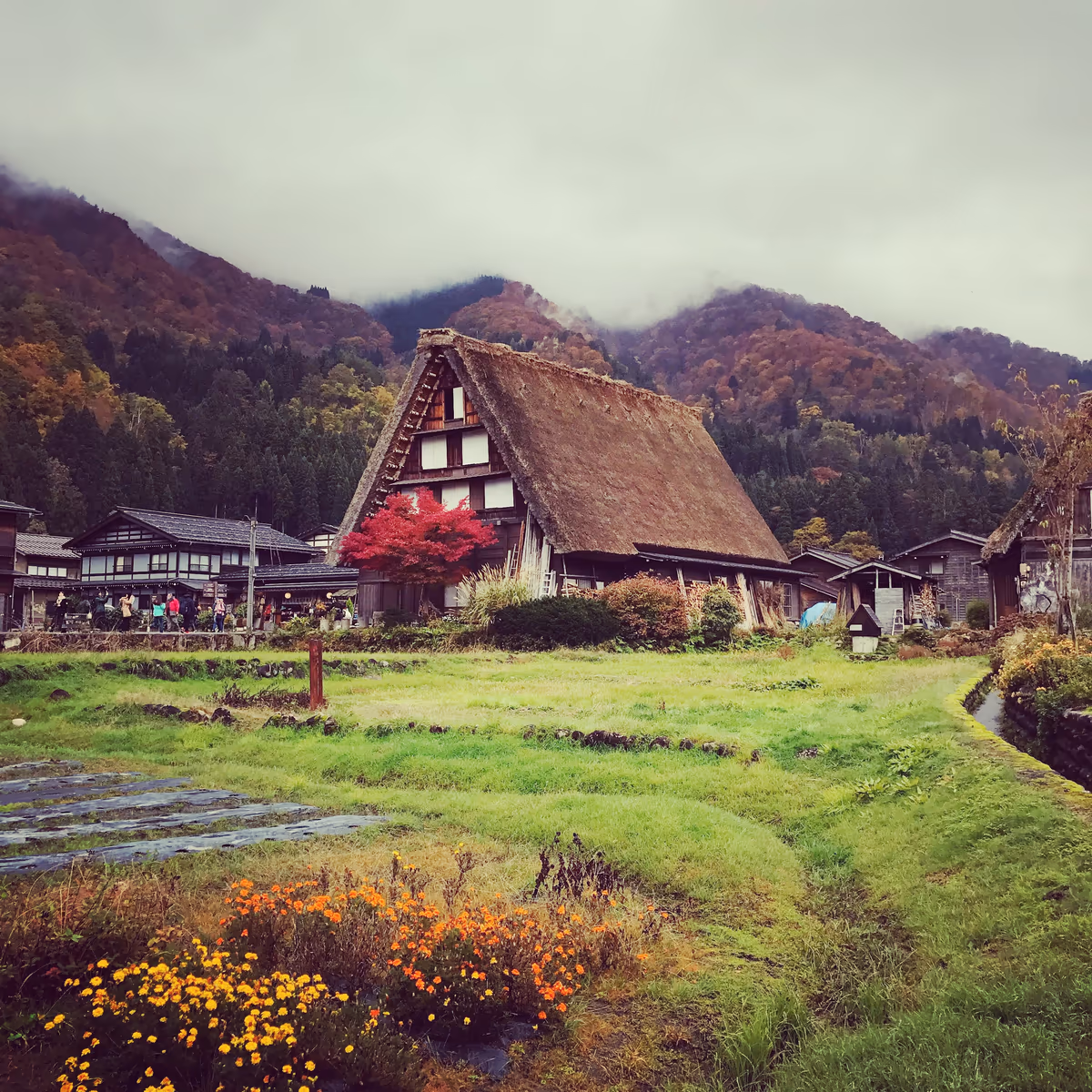 投稿写真：世界遺産、しっとりと。