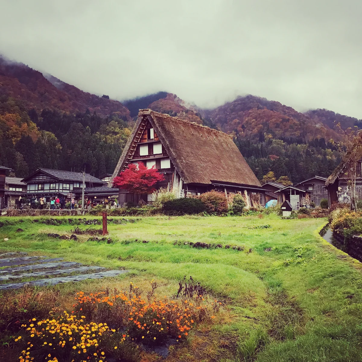 投稿写真：世界遺産、しっとりと。